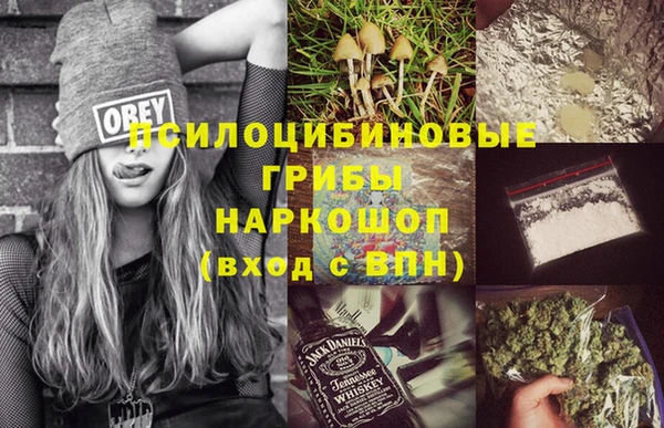 шишки Кинешма
