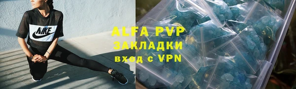 шишки Кинешма