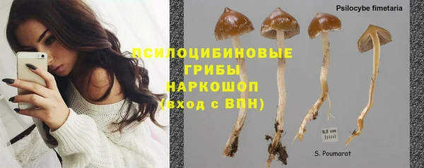 прущий лед Киренск