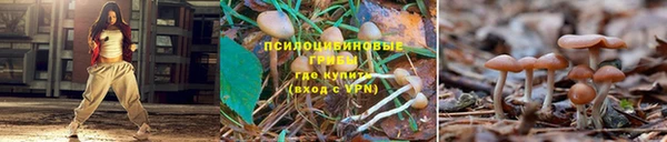 шишки Кинешма