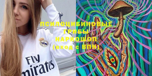 шишки Кинешма