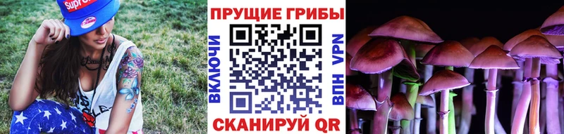 Галлюциногенные грибы мухоморы  Купить закладки  Сосновоборск 