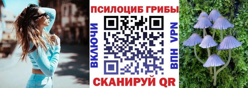 Галлюциногенные грибы Psilocybine cubensis Сосновоборск